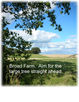 Broad Farm.  Walk straight ahead here, aiming for the large tree.