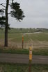 View from tree lined drive at waypoint [3]