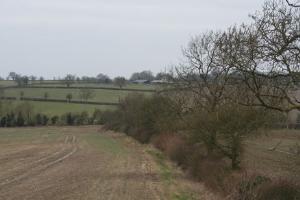 View along field edge along waypoint [4]