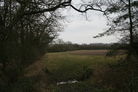 Field edge at waypoint [8]