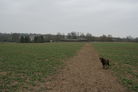 Winters field view toward Park House, waypoint [11]