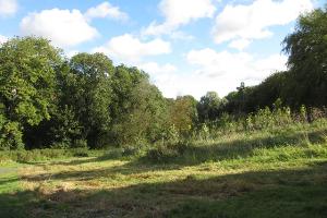 Enjoy a walk in the woods in Newton Aycliffe.