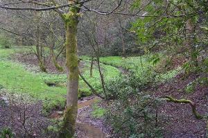 Boggart Hole Clough Brook