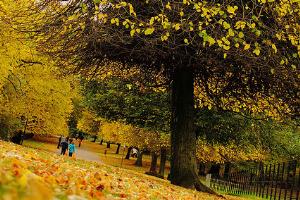 Autumn Colours in Heaton Park