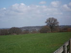 Wimborne and the Minster from the recreation ground
