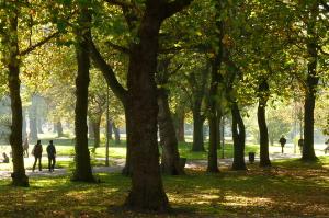 Whitworth Park in Moss Side, Manchester