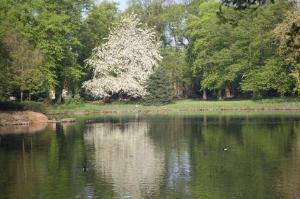 The Lake in Alexandra Park