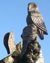 Owl Sculpture in Chorlton Park