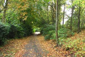 On the way to Aykley Heads