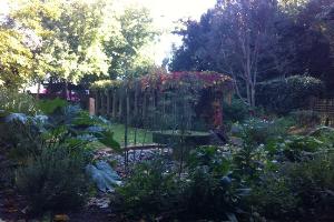 Sensory Garden