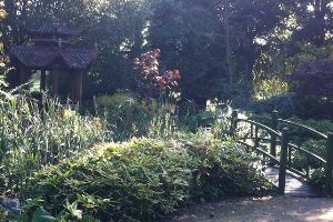 Friendship Gardens and Pagoda