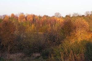 If you are walking here in autumn