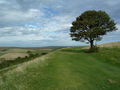 View from Cissbury ramparts