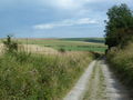 Track north of Cissbury Ring