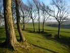 Chanctonbury Ring