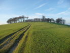View North West towards Chanctonbury Ring