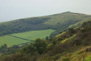 Crook Peak seen from contouring path on Wavering Down showing the ridge of descent