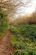 Footpath between Waypoints 7 and 8 showing the medieval ditch and bank of the Deer Pale