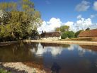 East Quantoxhead Duckpond