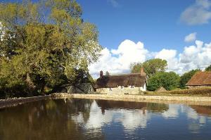 East Quantoxhead Duckpond