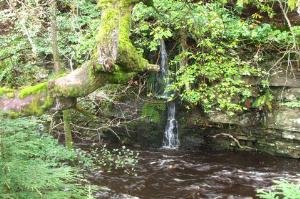 Bedburn Beck and a small waterfall in the background