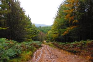 A lovely view after climbing a steep hill