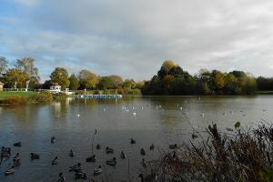 Swanley Park, Swanley