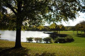 Swanley Park, Swanley