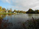Swanley Park