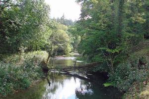 The River Lugg at Yeld Wood