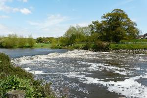Iford Weir - You may spot a Heron fishing from the stones on the opposite bank.