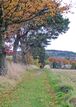 Kinnoull Hill above Gannochy