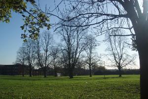 Parkland at the bottom of Cross Hedges Close
