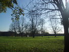 Parkland at the bottom of Cross Hedges Close