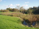 Pond in Beaumont Park
