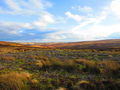 Panoramic views of the countryside above Waskerley Reservoir