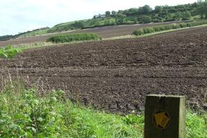 Towards High Moorsley