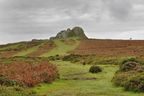 Haytor from the Dartmoor National Park Information Centre.