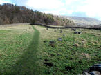 Path through Arkle cemetery