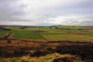 Views from the top of the Nature Reserve