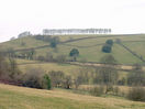 The row of beech trees on Freezing Hill can be seen for miles around