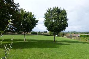 View from Sycamore Drive