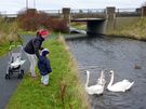 Canal at Wester Hailes Education Centre.