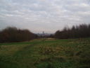 Stokeswood Park - view towards Leicester