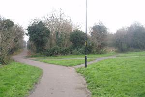 Stokeswood Park - view along disused railway line