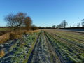 Out over the fields.