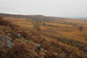 Veiw from White Edge