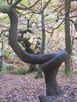 Twisted Tree-Padley Gorge