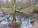 Horse Hay Coppice Pool. National Trust