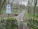 Horse Hay Coppice. National Trust